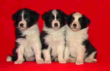 Tyt�t 5 vko, kuva M-L L�nnholtz